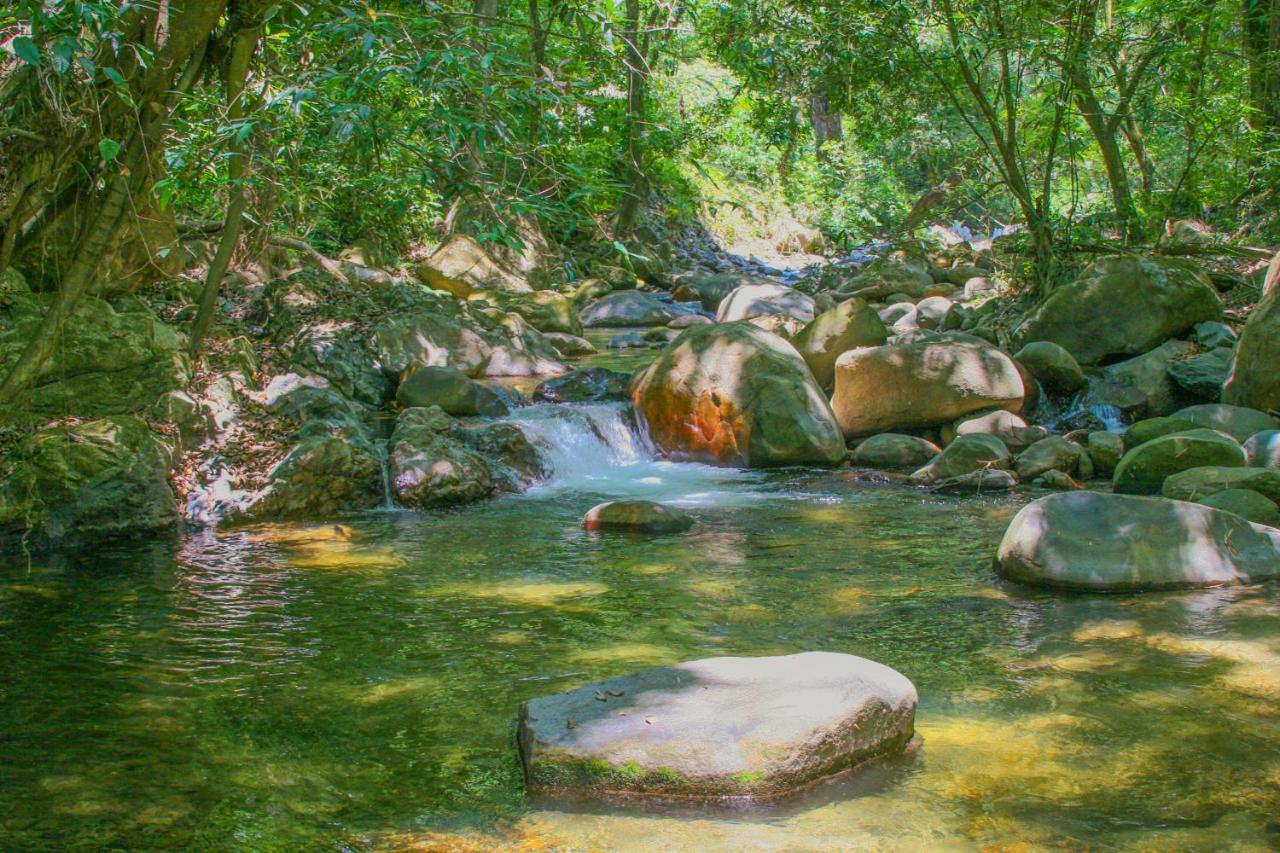 Las Cabanas Del Rio Minca Eksteriør billede