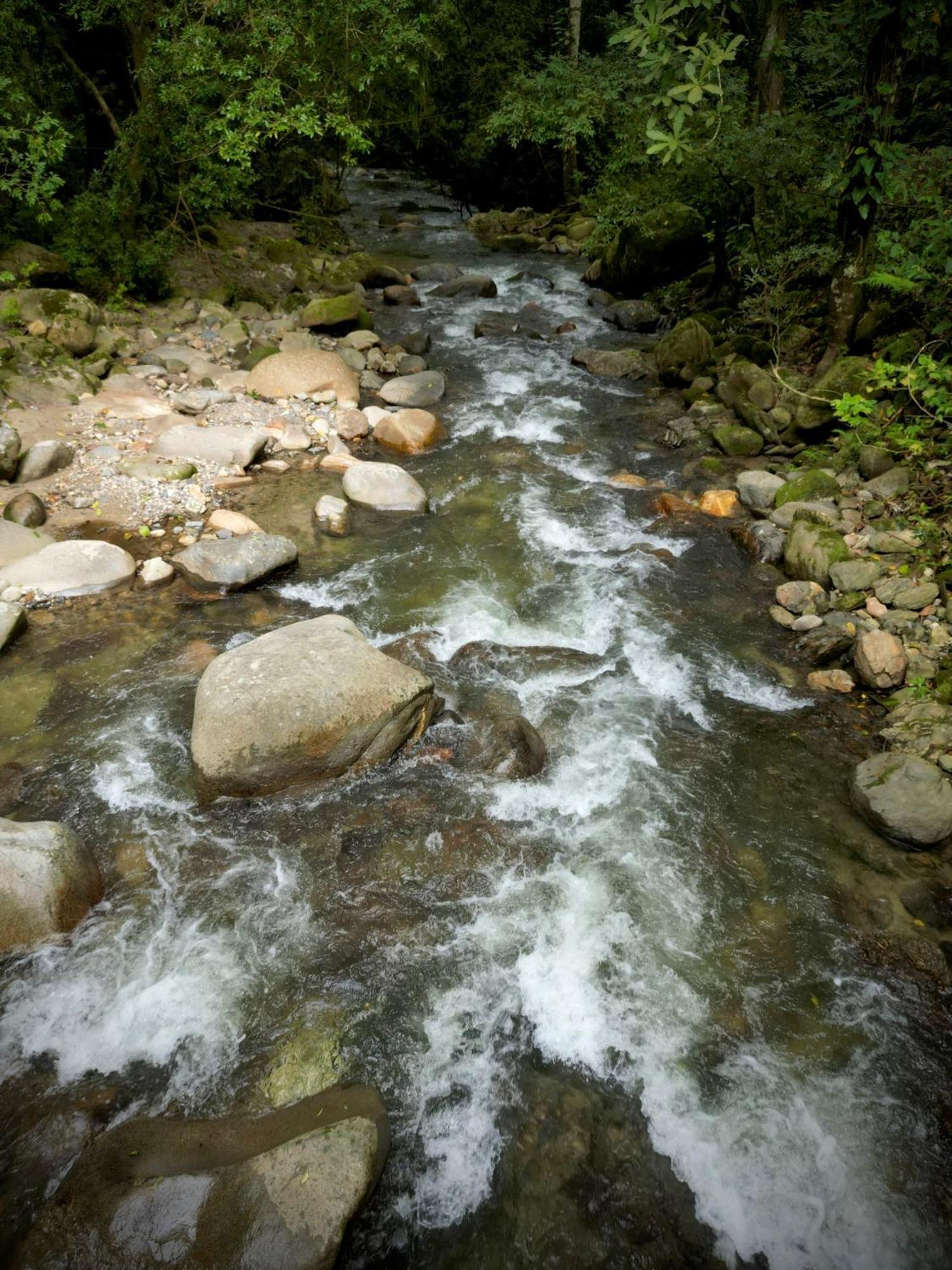 Las Cabanas Del Rio Minca Eksteriør billede