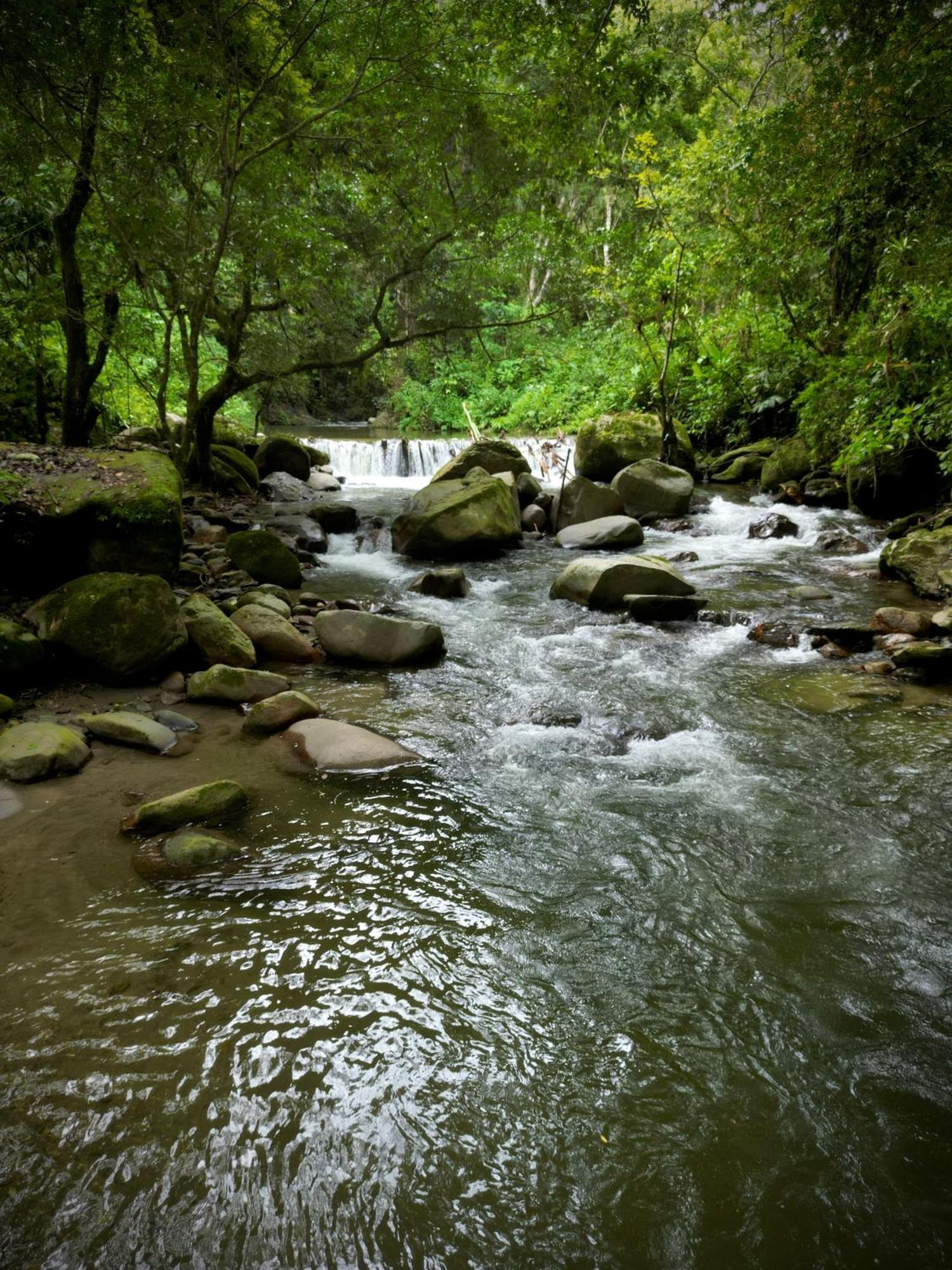 Las Cabanas Del Rio Minca Eksteriør billede