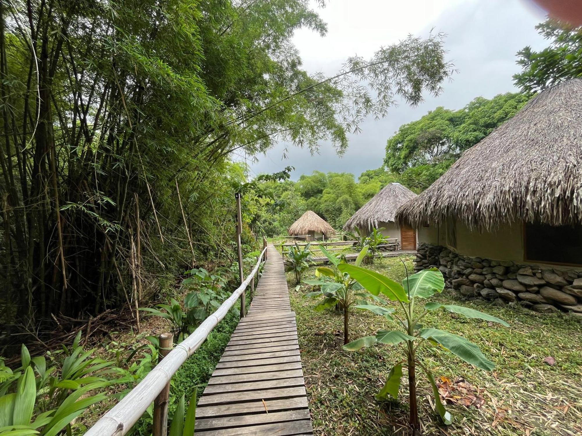 Las Cabanas Del Rio Minca Eksteriør billede